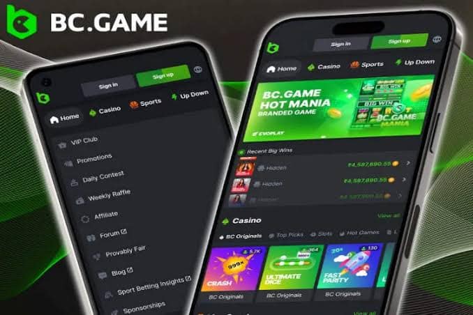 Understanding BC.Game Mirror Links Accessing Your Favorite Crypto Casino 926865630 Understanding BC.Game Mirror Links Accessing Your Favorite Crypto Casino 926865630
